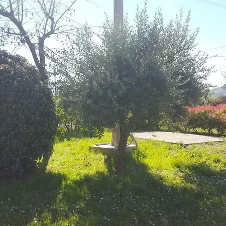 Casa Selene Rocchi Κατάλυμα σε φάρμα *