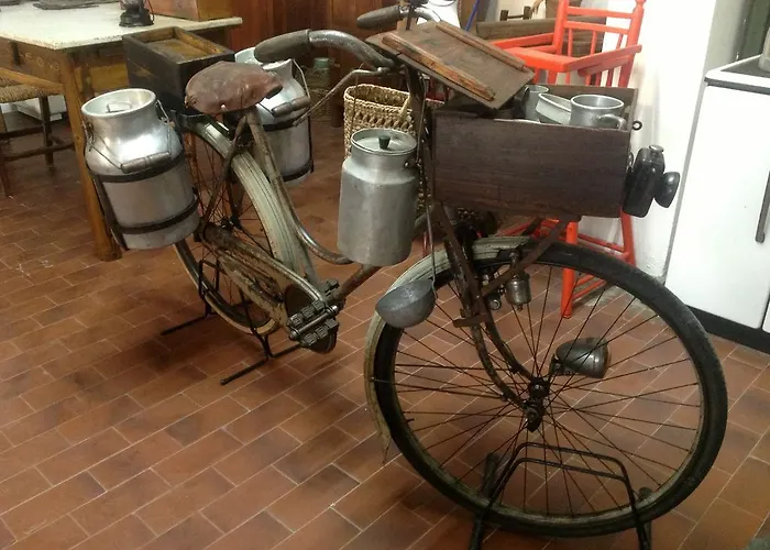 卡萨塞勒涅罗基农家乐 *