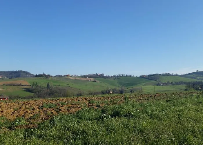 卡萨塞勒涅罗基农家乐 *