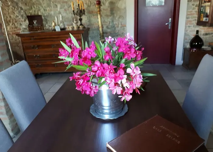 卡萨塞勒涅罗基农家乐 Savignano sul Panaro